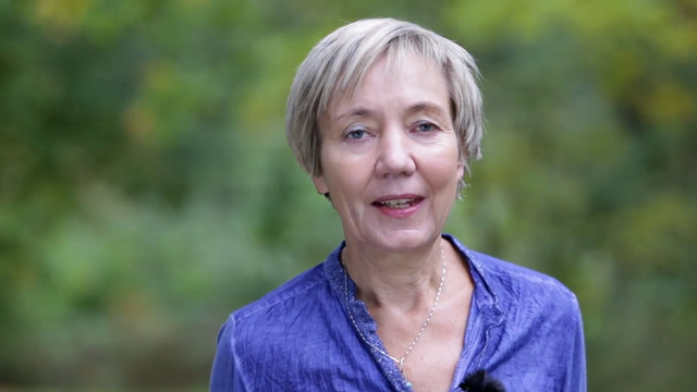 Dorte Steenbergs valgvideo